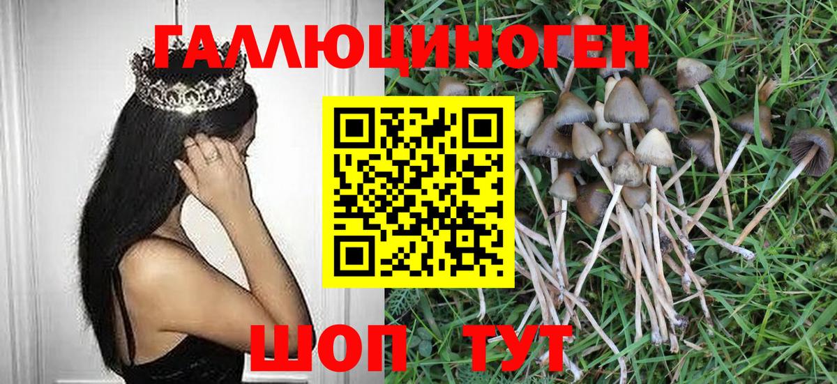 Псилоцибиновые грибы прущие грибы  Галлюциногенные грибы Psilocybe  Вход с VPN  Барнаул 